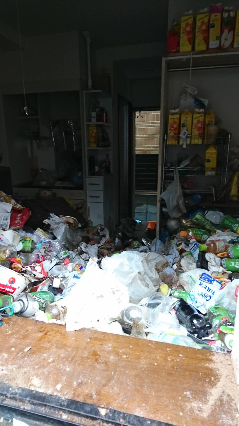生ゴミ含むゴミ類、家電や家具数点の回収前の状態