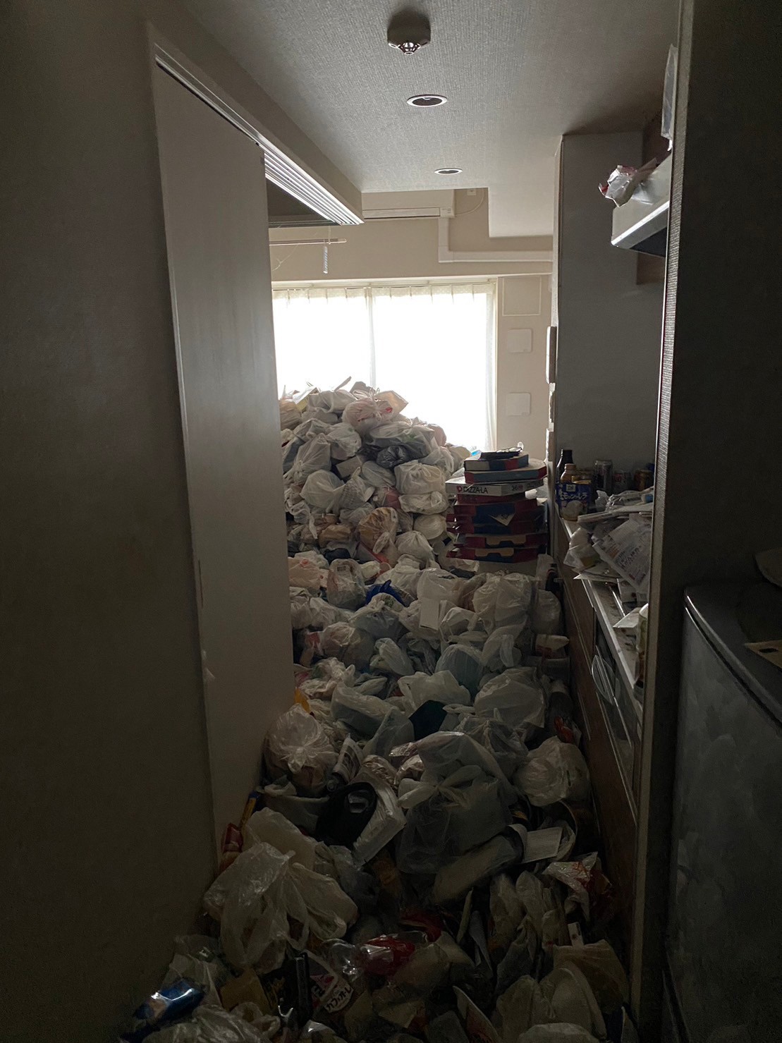 食品含む家庭ゴミ3部屋分、金属類、タンス、ソファーなどの回収前の状態