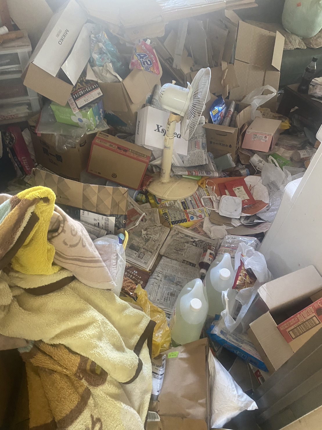 段ボール、新聞紙、扇風機、毛布、その他家庭ゴミの回収前の状態