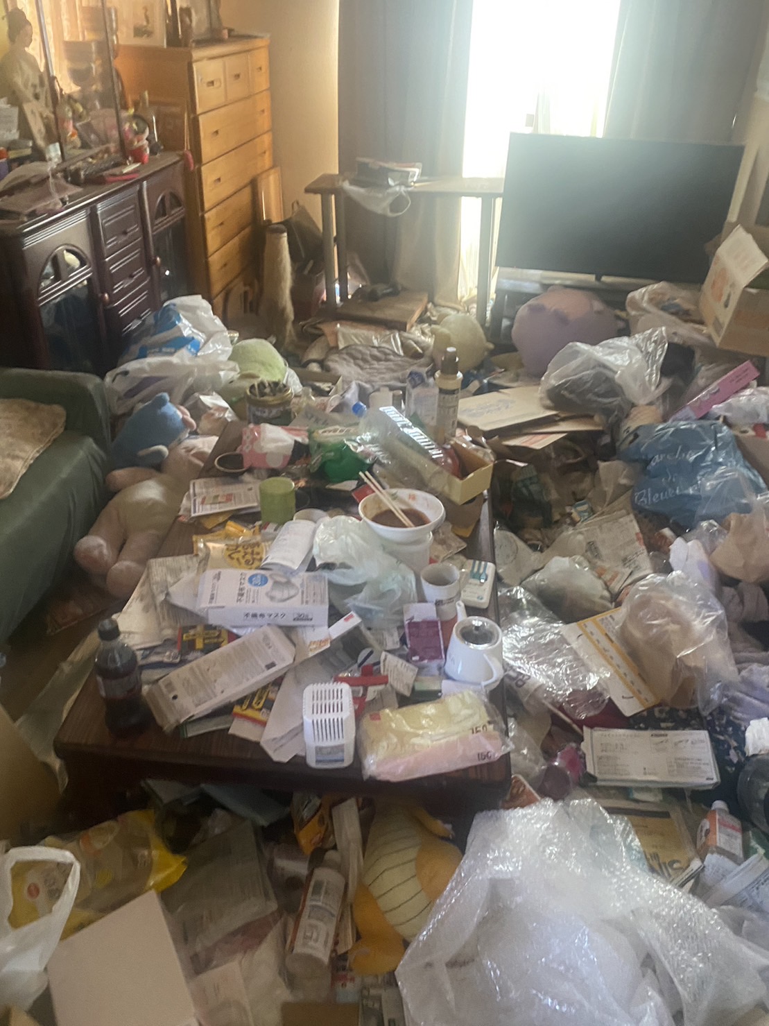ぬいぐるみ、ペットボトル、家庭ゴミ1部屋分の回収前の状態