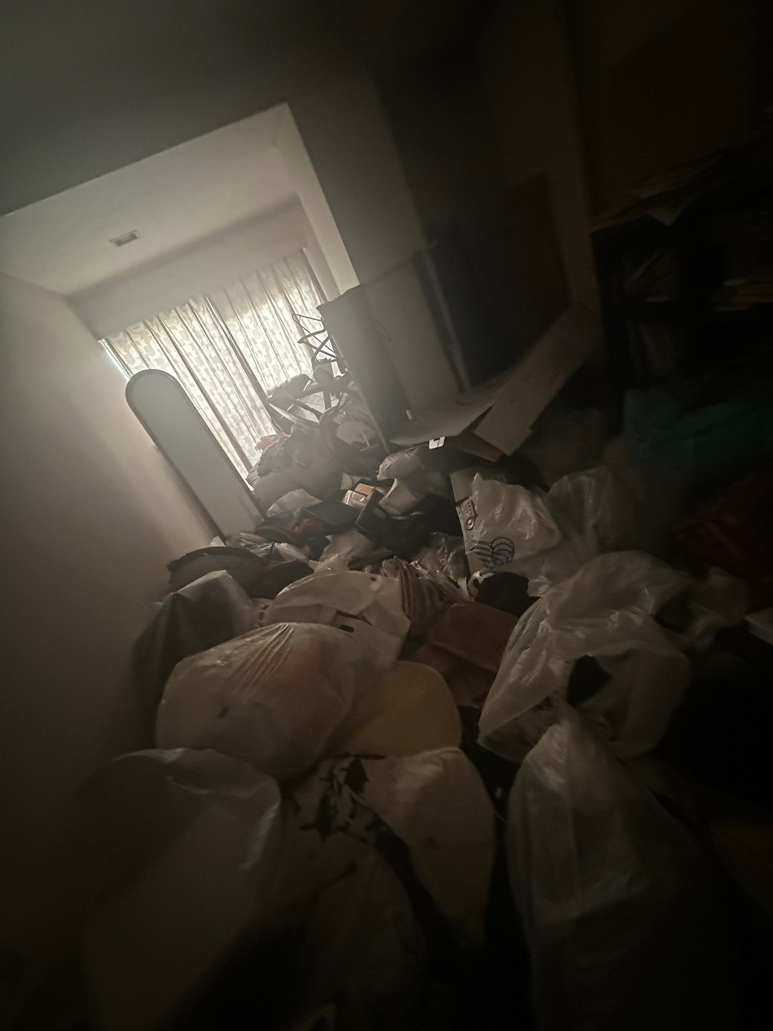 生活ゴミ、部屋のもの一式の回収前の状態