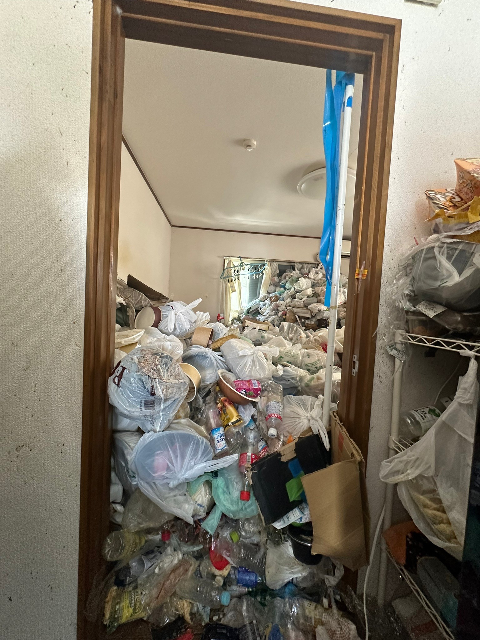 衣類、掃除機、プラケース、生活ゴミ、物干し竿の回収前の状態