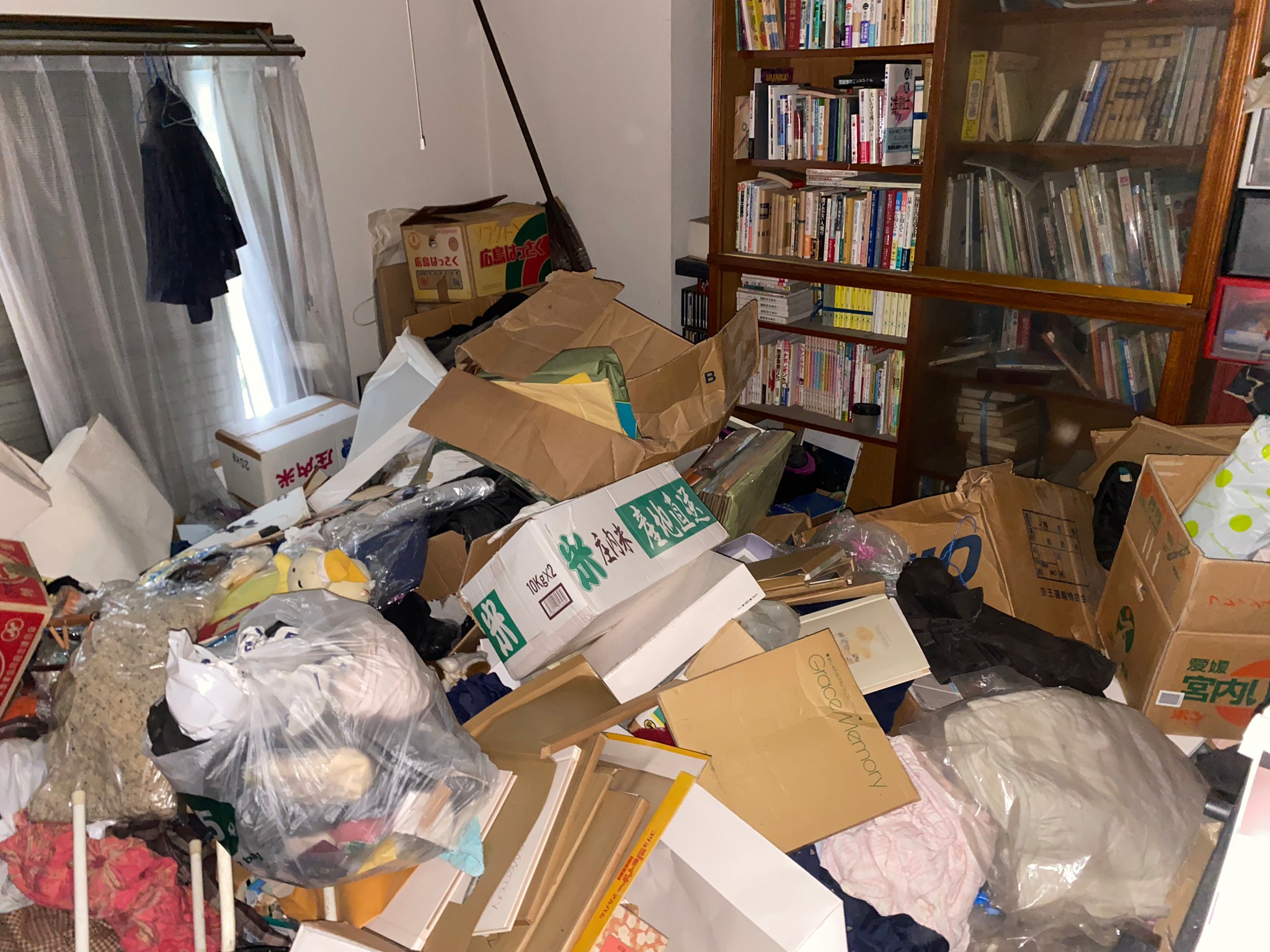本棚、本、衣類、生活用品の回収前の状態