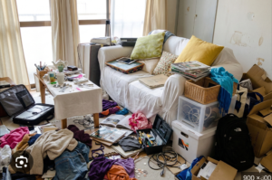 汚部屋にゴキブリが出るのは「汚い」から？大量発生の原因とリスク・対処法