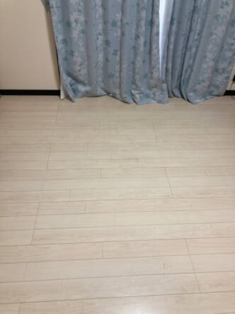 袋詰めの衣類・生活雑貨、紙袋、箱類、クッション、小型家財などの回収後の状態